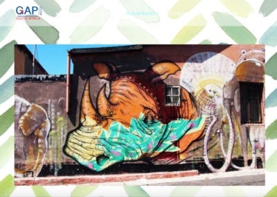 gapyear-rhino